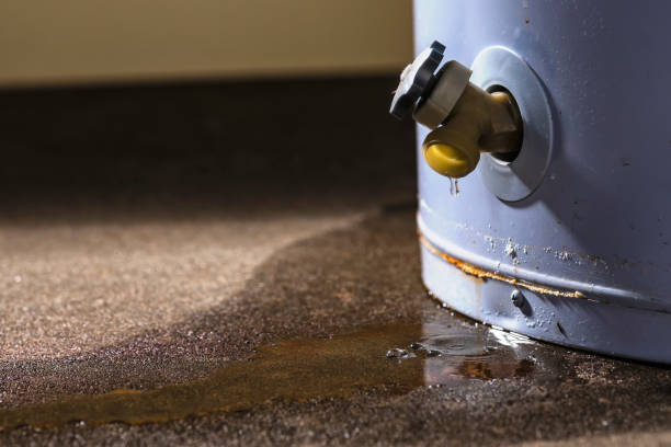 Lucedale, MS Water damage restoration Company