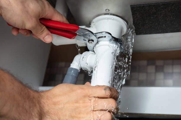 Best Water damage mitigation services  in Lucedale, MS