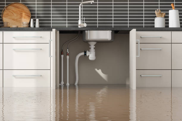 Water damage restoration mold remediation in Lucedale, MS